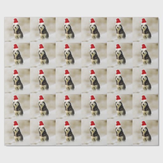 Siberischer Husky-Hund mit Weihnachtsmannmütze im Geschenkpapier (Flach)