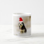 Siberischer Husky-Hund mit Weihnachtsmannmütze im  Kaffeetasse (Mittel)