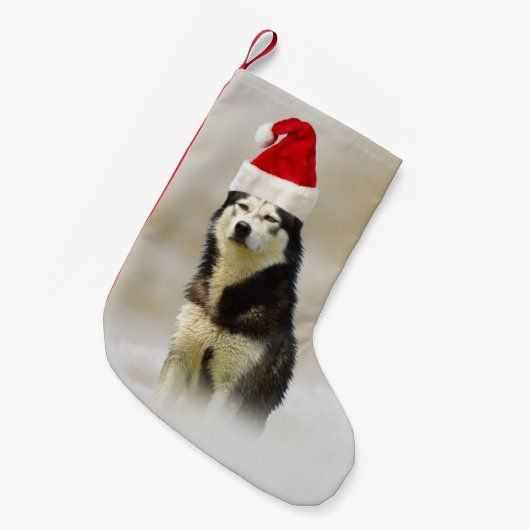 Siberischer Husky-Hund mit Weihnachtsmannmütze im  Kleiner Weihnachtsstrumpf (Vorderansicht (hängend))