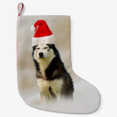 Siberischer Husky-Hund mit Weihnachtsmannmütze im Kleiner Weihnachtsstrumpf (Vorderseite)