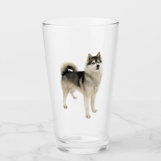 Siberischer Husky Malamute Haustier Tierglas Glas (Vorderseite)