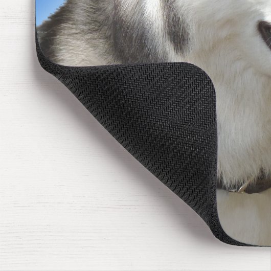 Siberischer Husky Mousepad gibt Malamute Schlitten (Ecke)