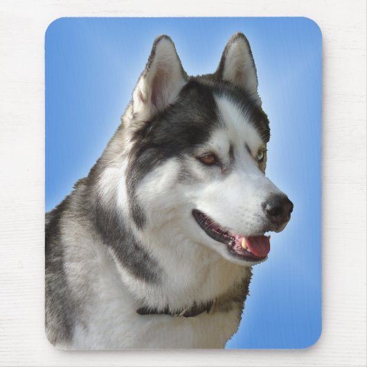 Siberischer Husky Mousepad gibt Malamute Schlitten (Vorne)