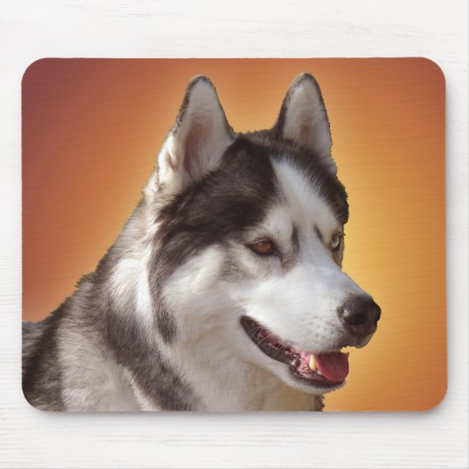 Siberischer Husky Mousepad gibt Malamute Schlitten (Vorne)