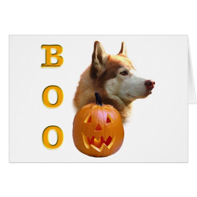 Siberischer Husky (rot) Boo (Vorderseite (Horizontal))