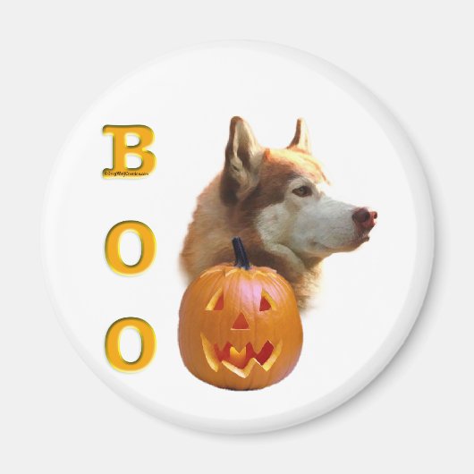 Siberischer Husky (rot) Boo Magnet (Vorne)