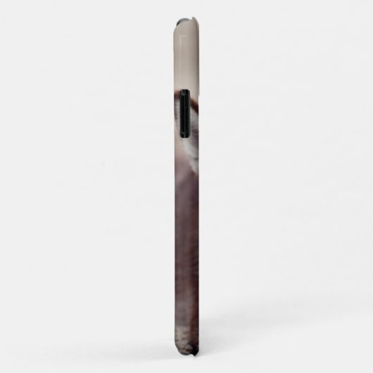 Siberischer Husky-Welpe am Strand Case-Mate iPhone Hülle (Hinten/Rechts)