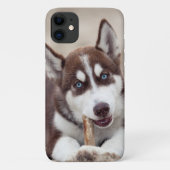 Siberischer Husky-Welpe am Strand Case-Mate iPhone Hülle (Rückseite)