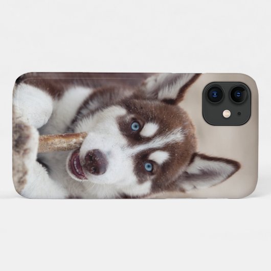 Siberischer Husky-Welpe am Strand Case-Mate iPhone Hülle (Rückseite (Horizontal))