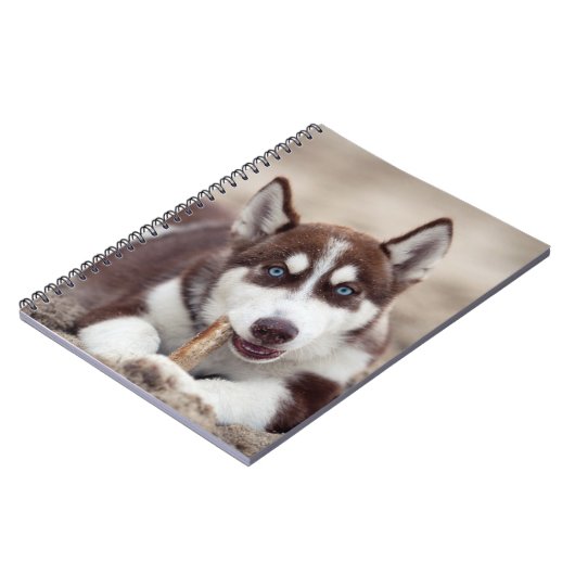 Siberischer Husky-Welpe am Strand Notizblock (Linke Seite)