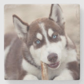 Siberischer Husky-Welpe am Strand Steinuntersetzer (Vorderseite)