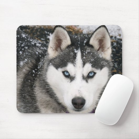 Siberischer Husky Welpe Hund in Snow Mousepad (Mit Mouse)