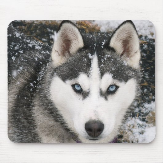 Siberischer Husky Welpe Hund in Snow Mousepad (Vorne)
