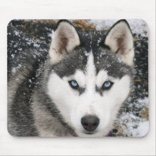 Siberischer Husky Welpe Hund in Snow Mousepad