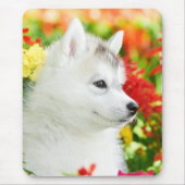 Siberischer Husky-Welpe in Blume Mousepad (Vorne)