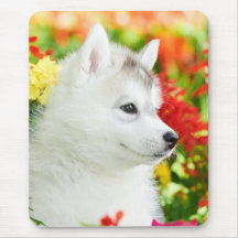 Siberischer Husky-Welpe in Blume Mousepad
