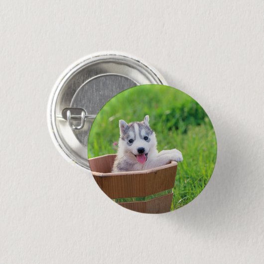 Siberischer Husky-Welpe in einer Hülle Button (Vorne & Hinten)