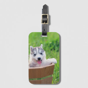 Siberischer Husky-Welpe in einer Hülle Gepäckanhänger