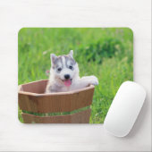 Siberischer Husky-Welpe in einer Hülle Mousepad (Mit Mouse)