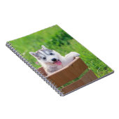 Siberischer Husky-Welpe in einer Hülle Notizblock (Rechte Seite)
