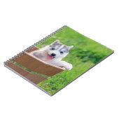 Siberischer Husky-Welpe in einer Hülle Notizblock (Linke Seite)