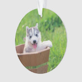 Siberischer Husky-Welpe in einer Hülle Ornament (Vorderseite)