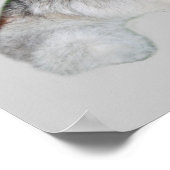 Siberischer Husky & Welpen Print Poster (Ecke)