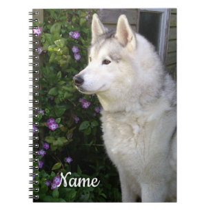 Siberischer Husky Welpenhund Notizblock