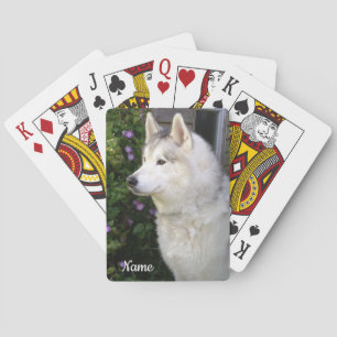 Siberischer Husky Welpenhund Spielkarten