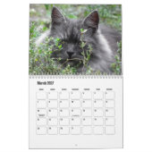 Siberischer Katzenkalender Kalender (Mär 2027)