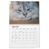 Siberischer Katzenkalender Kalender (Feb 2027)