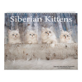 Siberischer Kittens-Kalender Kalender