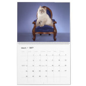 Siberischer Kittens-Kalender Kalender (Mär 2027)