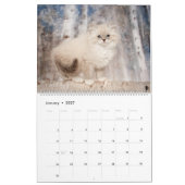 Siberischer Kittens-Kalender Kalender (Jan 2027)