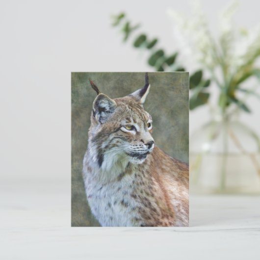 Siberischer Lynx Postcard Postkarte (Stehend Vorderseite)