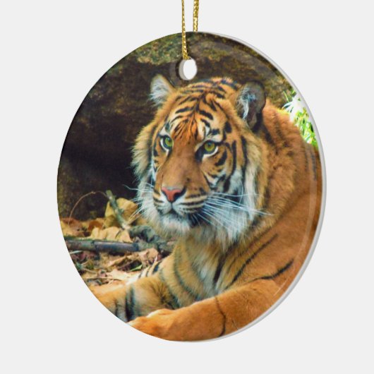 Siberischer Tiger Keramikornament (Links)