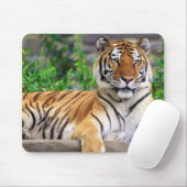 Siberischer Tiger Mousepad (Mit Mouse)