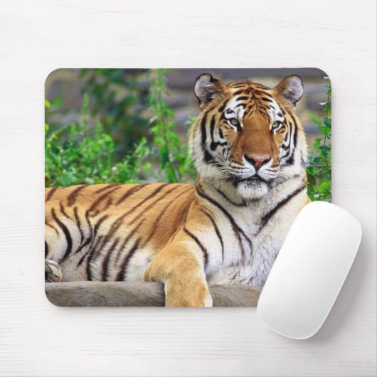 Siberischer Tiger Mousepad (Mit Mouse)