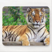 Siberischer Tiger Mousepad (Vorne)
