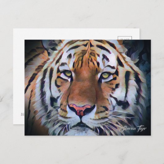 Siberischer Tiger: Postkarte (Vorne/Hinten)