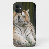 Siberischer Tiger Tigress Case-Mate iPhone Hülle (Rückseite)