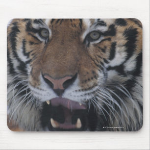 Siberischer Tiger-Yawning Mousepad