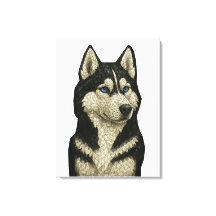 Sibirian Husky-Edelstein