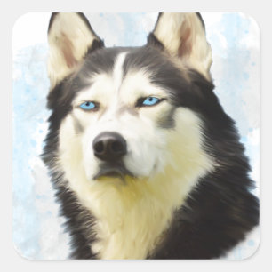 Sibirian Husky Hund Wasserfarben-Kunstmalerei Quadratischer Aufkleber