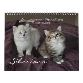 Sibirians Cats Kittens 2012 - 2013 Kalender