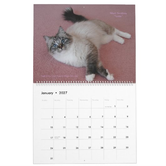 Sibirians Cats Kittens 2012 - 2013 Kalender (Jan 2027)
