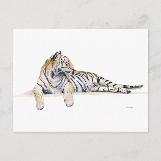 Sibirien/Bengalisches Tiger Postkarte (Vorderseite)