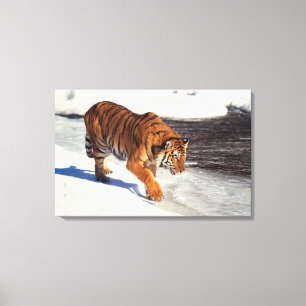 Sibirier 2 leinwanddruck