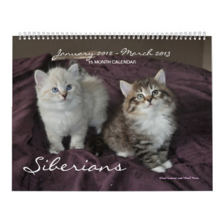 Sibirier Katzen Januar 2014 bis März 2015-Kalender Kalender