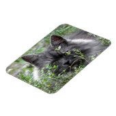 sibirisch | Katapportrait Magnet (Linke Seite)
